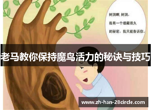 老马教你保持魔鸟活力的秘诀与技巧