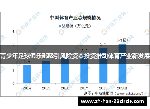 青少年足球俱乐部吸引风险资本投资推动体育产业新发展