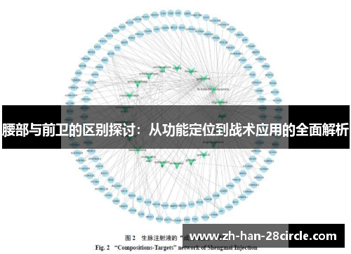 腰部与前卫的区别探讨：从功能定位到战术应用的全面解析